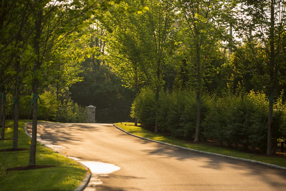 North Street by Matteson Landscape Architecture - Photo 6