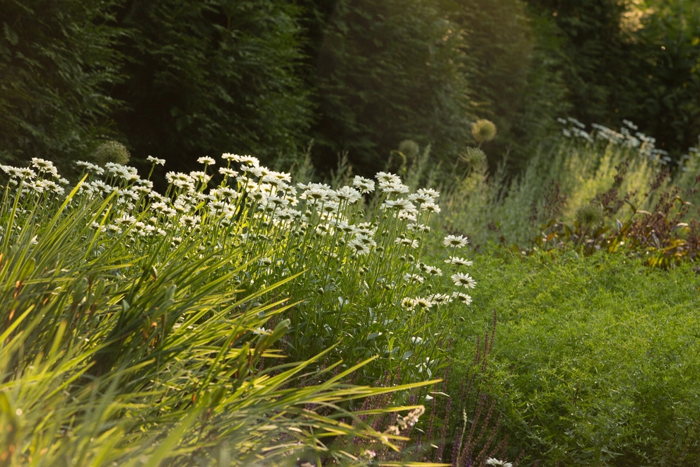 Matteson Landscape Architecture - Photo 2