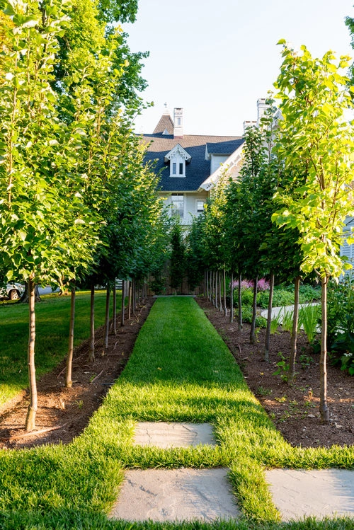 Matteson Landscape Architecture - Photo 12