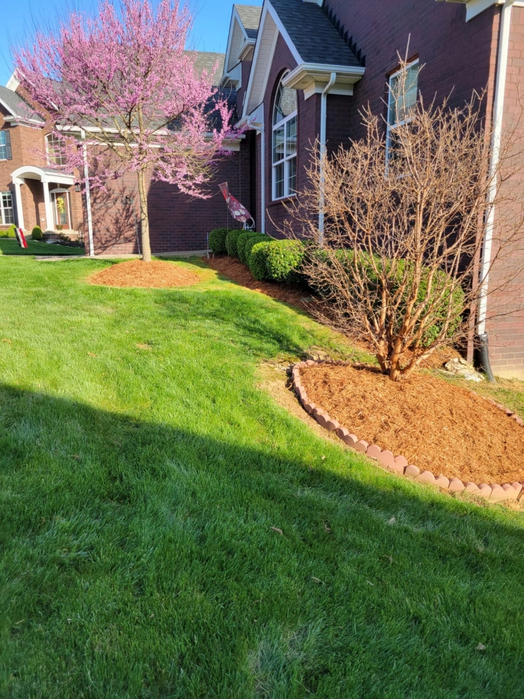 Alberto Alavez Professional Lawn Services LLC 14 by Alberto Alavez Professional Lawn Services LLC - Photo 4