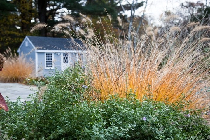 Charles River Garden by Matthew Cunningham Landscape Design LLC - Photo 19