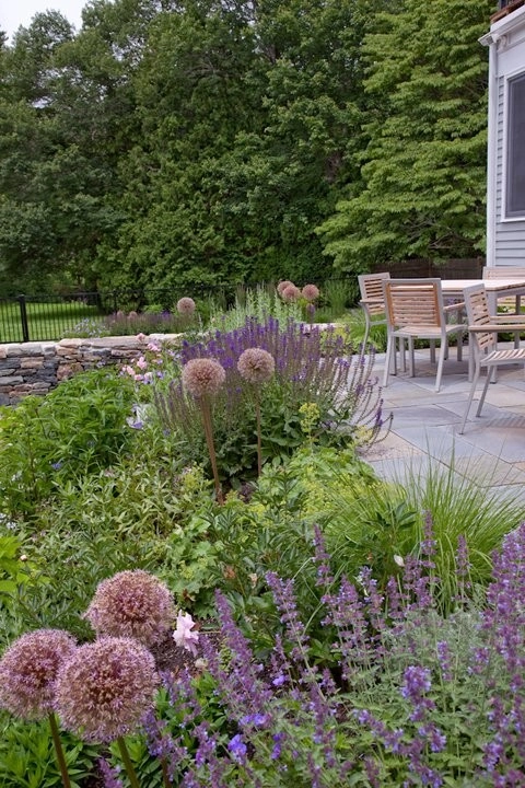 Charles River Garden by Matthew Cunningham Landscape Design LLC - Photo 31