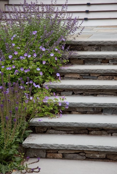 Charles River Garden by Matthew Cunningham Landscape Design LLC - Photo 34