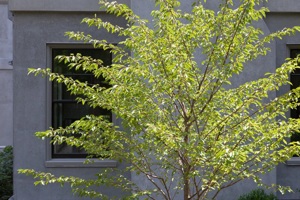 Beech Ledge by Matthew Cunningham Landscape Design LLC - Photo 25
