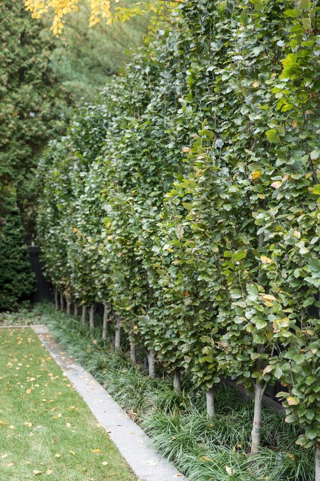 Brattle Street by Matthew Cunningham Landscape Design LLC - Photo 33