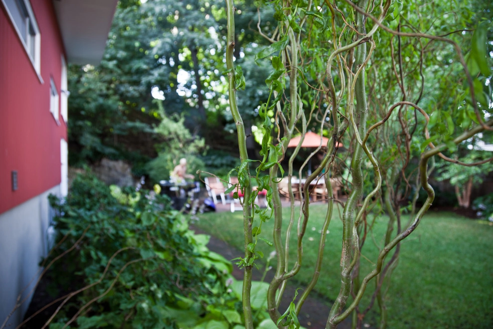 Matthew Cunningham Landscape Design LLC - Photo 14
