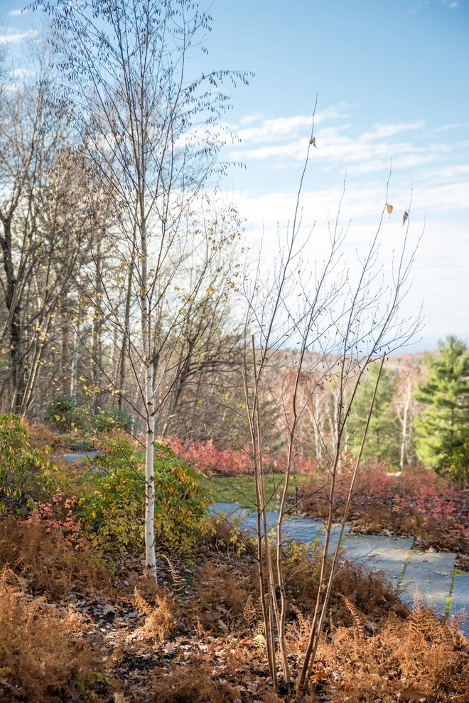 A Writer's Retreat by Matthew Cunningham Landscape Design LLC - Photo 84