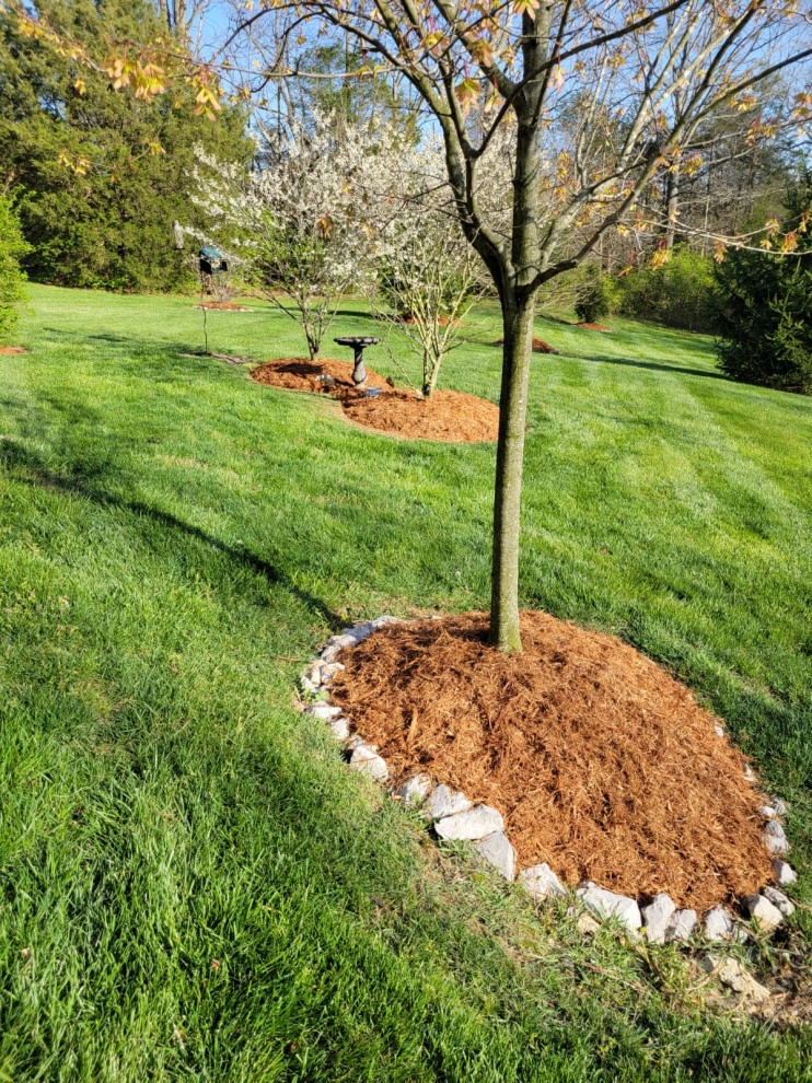 Alberto Alavez Professional Lawn Services LLC 14 by Alberto Alavez Professional Lawn Services LLC - Photo 11