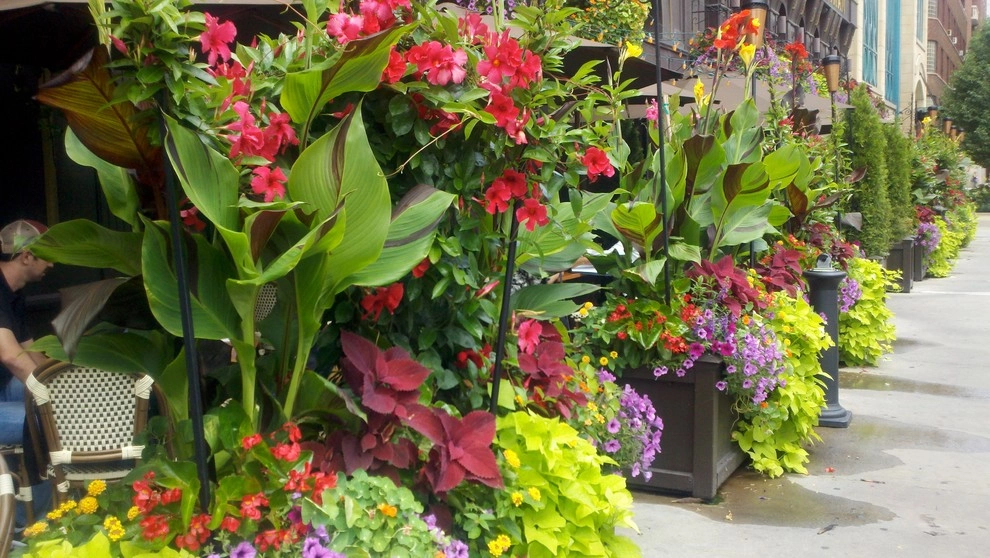 Anne Roberts Gardens, Inc. by Anne Roberts Gardens, Inc. - Photo 12