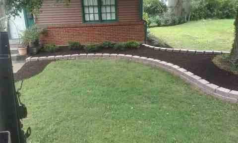 Alberto Alavez Professional Lawn Services LLC 1 by Alberto Alavez Professional Lawn Services LLC - Photo 33