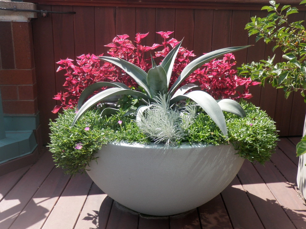 Anne Roberts Gardens, Inc. by Anne Roberts Gardens, Inc. - Photo 19