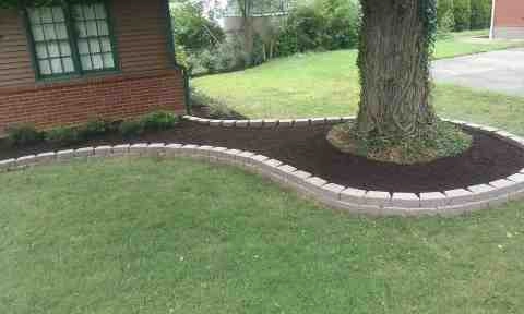 Alberto Alavez Professional Lawn Services LLC 1 by Alberto Alavez Professional Lawn Services LLC - Photo 7