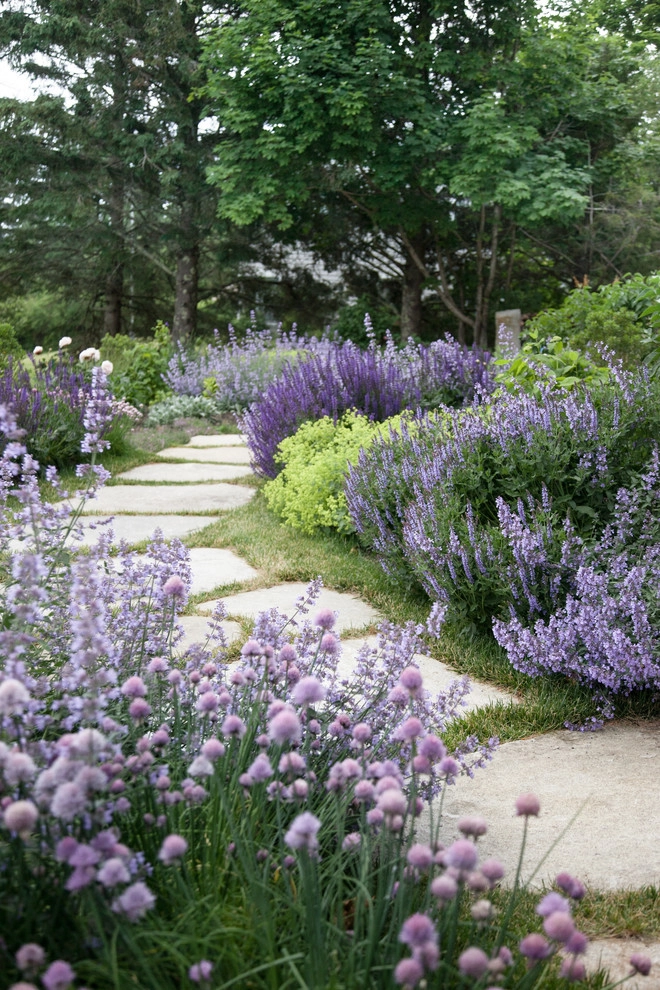 Clamshell Alley by Matthew Cunningham Landscape Design LLC - Photo 5