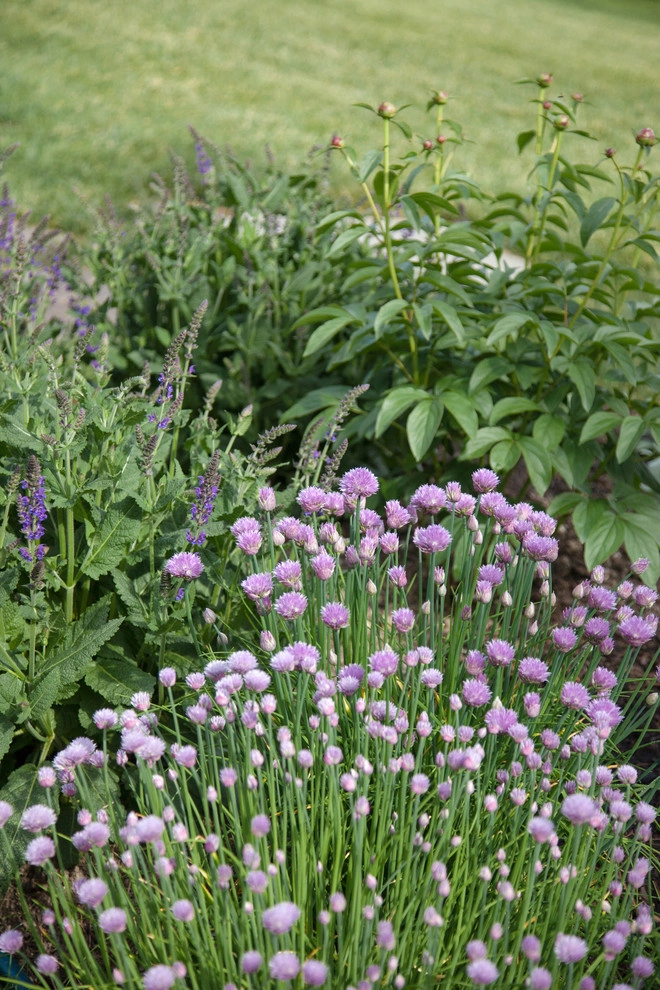 Clamshell Alley by Matthew Cunningham Landscape Design LLC - Photo 70