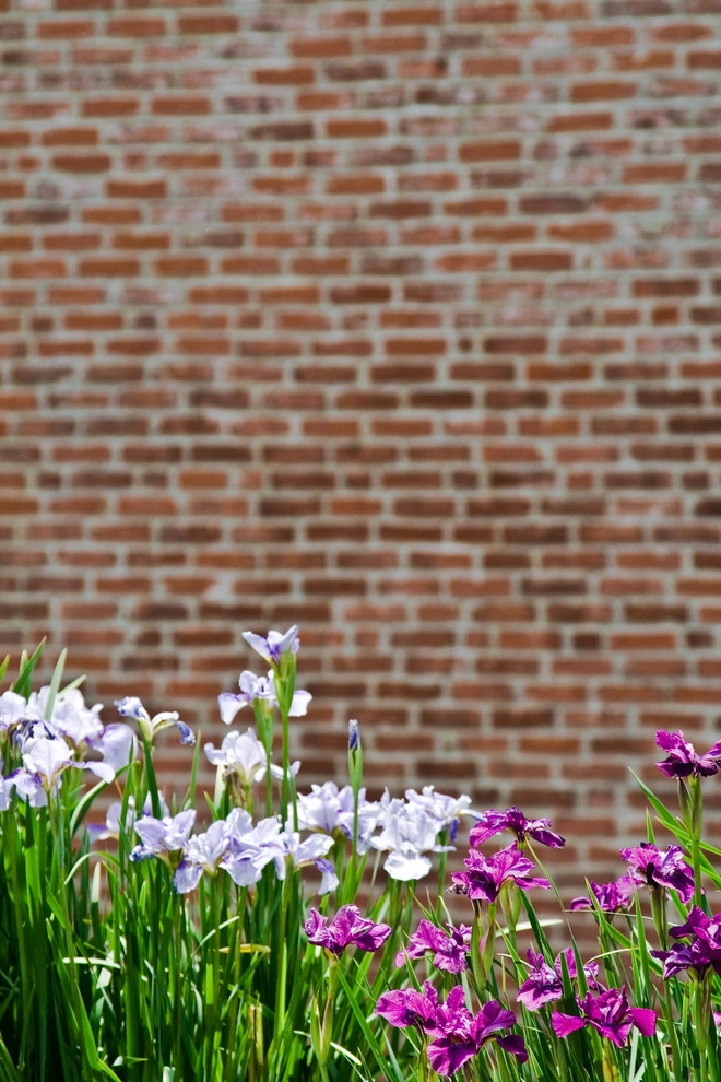 Commonwealth Avenue Rooftop by Matthew Cunningham Landscape Design LLC - Photo 14