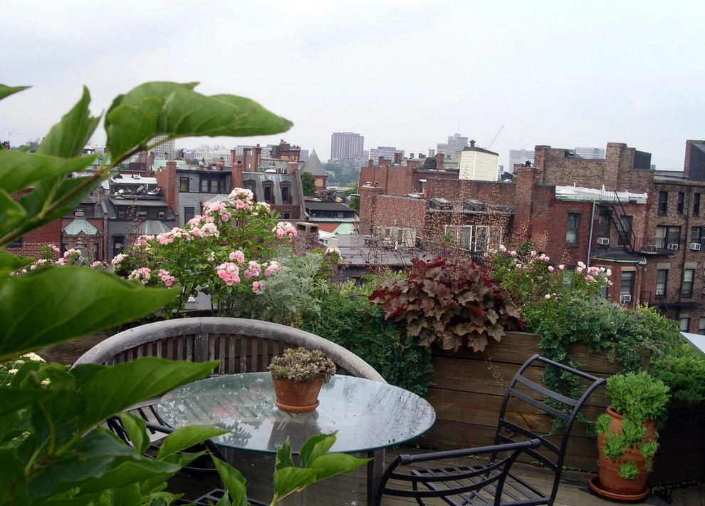 Commonwealth Avenue Rooftop by Matthew Cunningham Landscape Design LLC - Photo 17