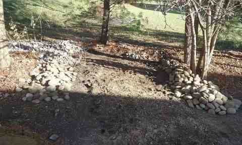 Alberto Alavez Professional Lawn Services LLC 1 by Alberto Alavez Professional Lawn Services LLC - Photo 15