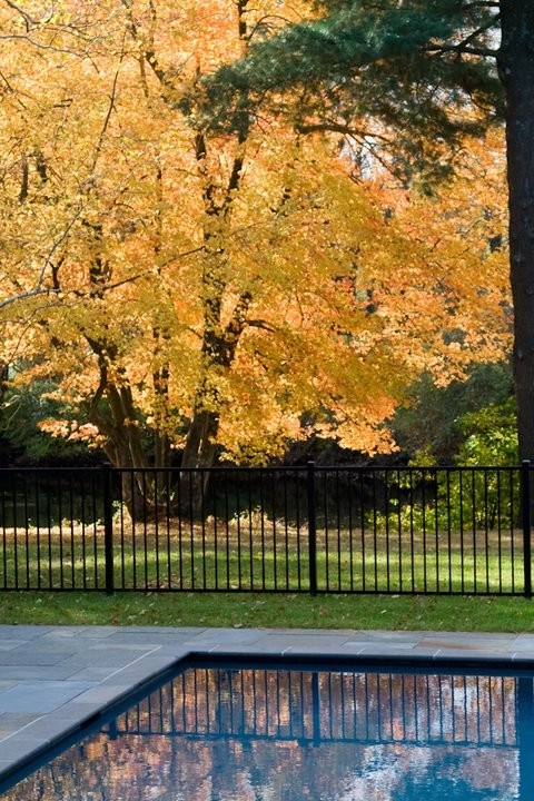 Charles River Garden by Matthew Cunningham Landscape Design LLC - Photo 3