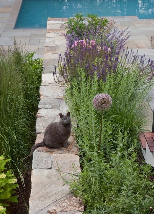 Charles River Garden by Matthew Cunningham Landscape Design LLC - Photo 35