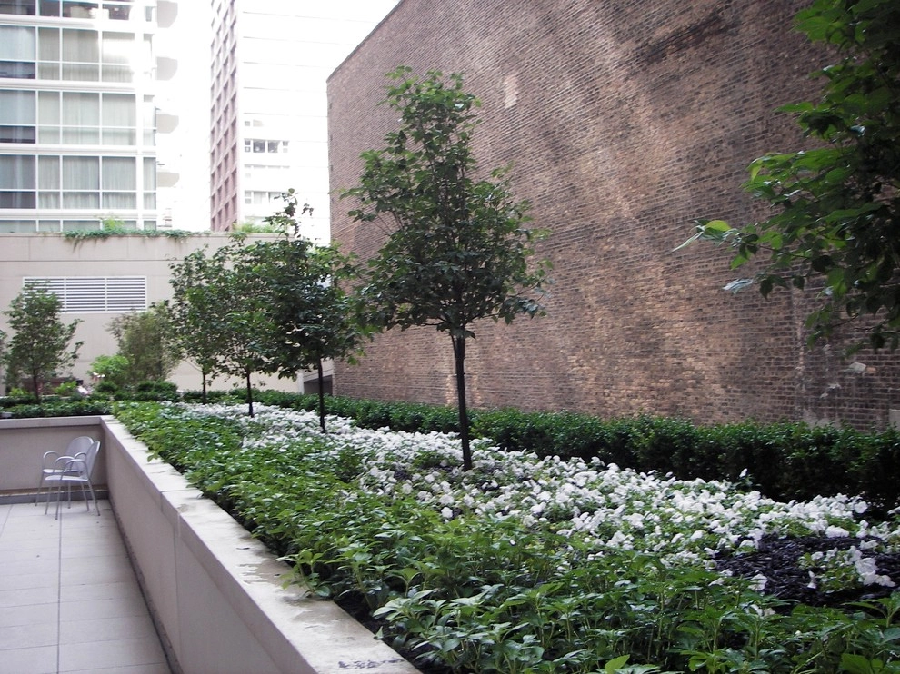 Urban Gardens by Anne Roberts Gardens, Inc. - Photo 5