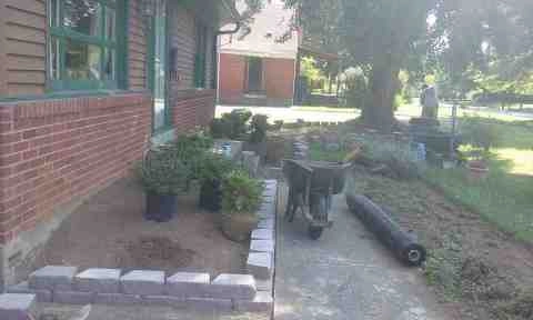 Alberto Alavez Professional Lawn Services LLC 1 by Alberto Alavez Professional Lawn Services LLC - Photo 34
