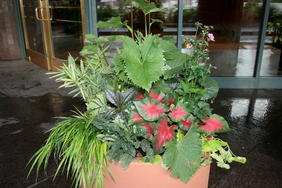 Anne Roberts Gardens, Inc. by Anne Roberts Gardens, Inc. - Photo 17