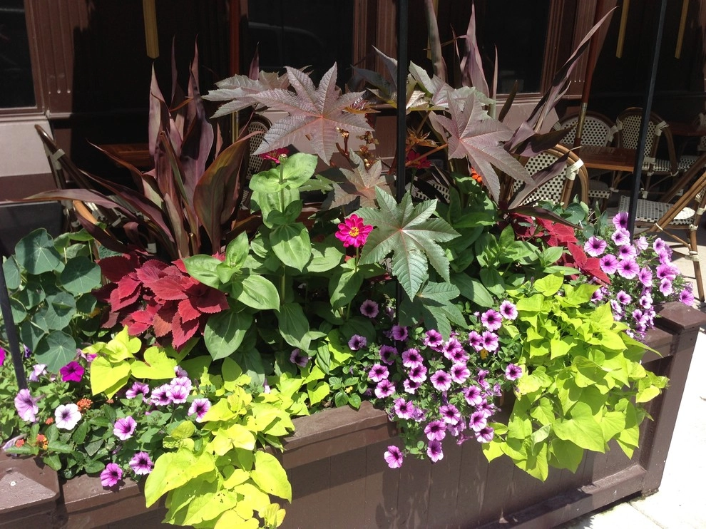Anne Roberts Gardens, Inc. by Anne Roberts Gardens, Inc. - Photo 9