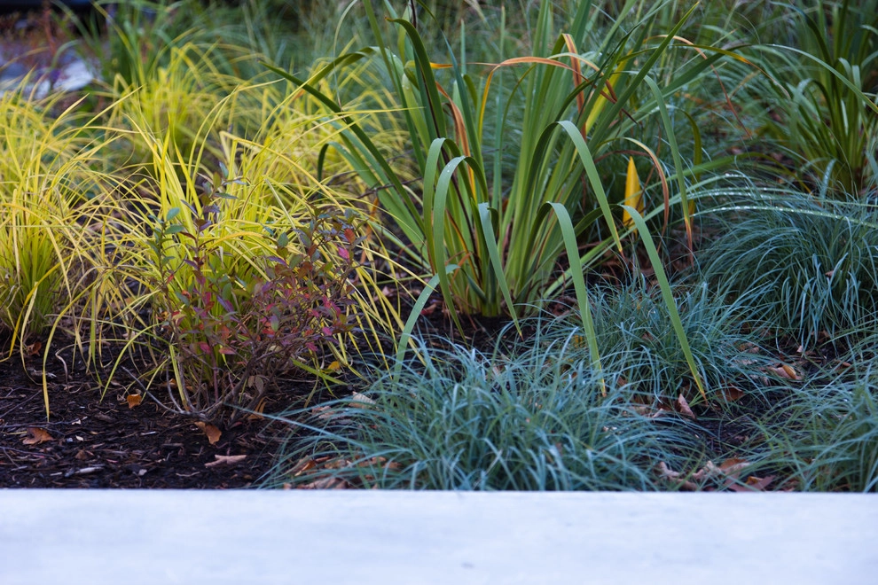 Longwood Garden by Matthew Cunningham Landscape Design LLC - Photo 61
