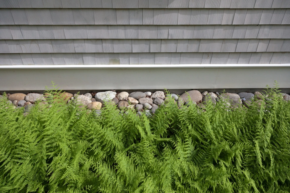Clamshell Alley by Matthew Cunningham Landscape Design LLC - Photo 49