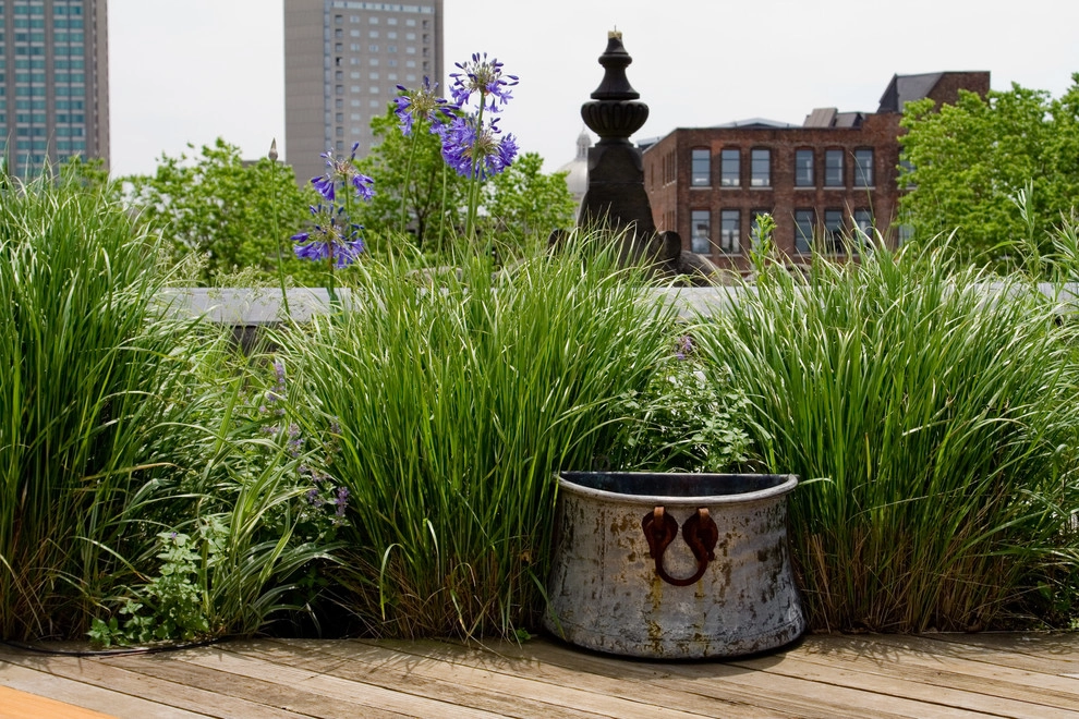 Commonwealth Avenue Rooftop by Matthew Cunningham Landscape Design LLC - Photo 45