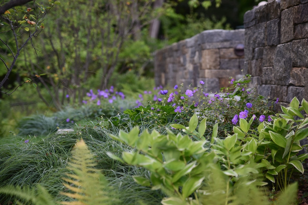 Waban Hillside by Matthew Cunningham Landscape Design LLC - Photo 23