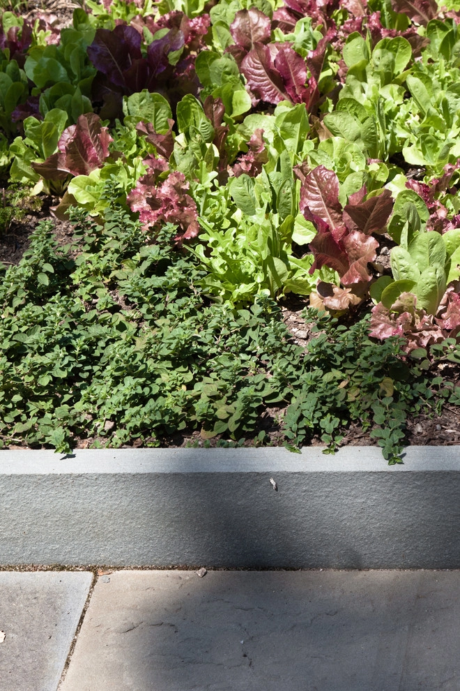 Warren Estate by Matthew Cunningham Landscape Design LLC - Photo 79