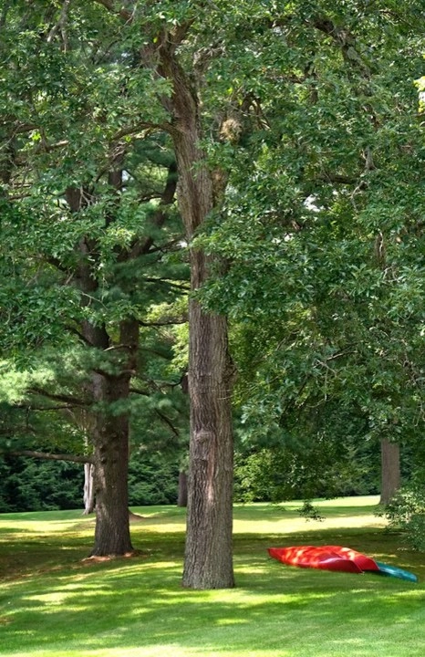 Charles River Garden by Matthew Cunningham Landscape Design LLC - Photo 20