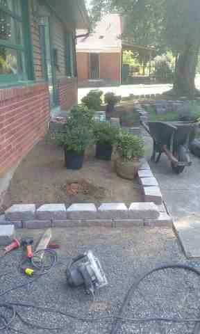 Alberto Alavez Professional Lawn Services LLC 1 by Alberto Alavez Professional Lawn Services LLC - Photo 49