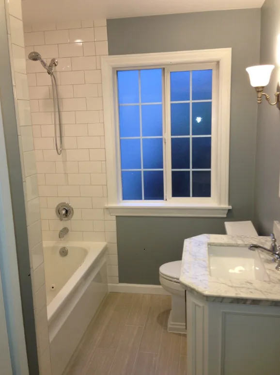 Restroom Renovation by Silver Peak Design Build - Photo 4