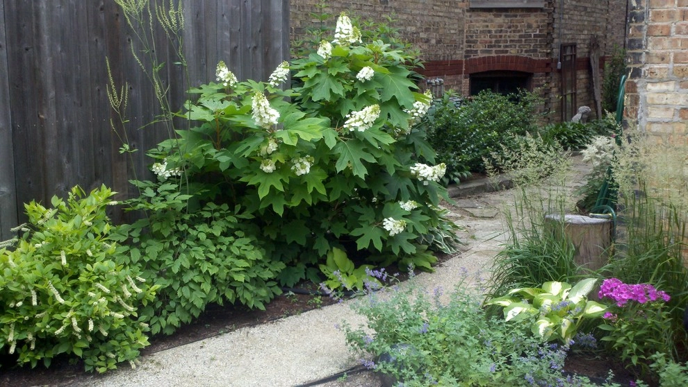Oak Park Bowling Ball Rain Garden by Anne Roberts Gardens, Inc. - Photo 3