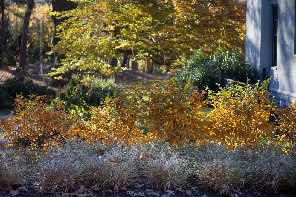 Beech Ledge by Matthew Cunningham Landscape Design LLC - Photo 70