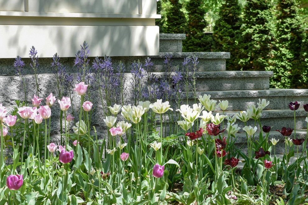 Brattle Street by Matthew Cunningham Landscape Design LLC - Photo 19