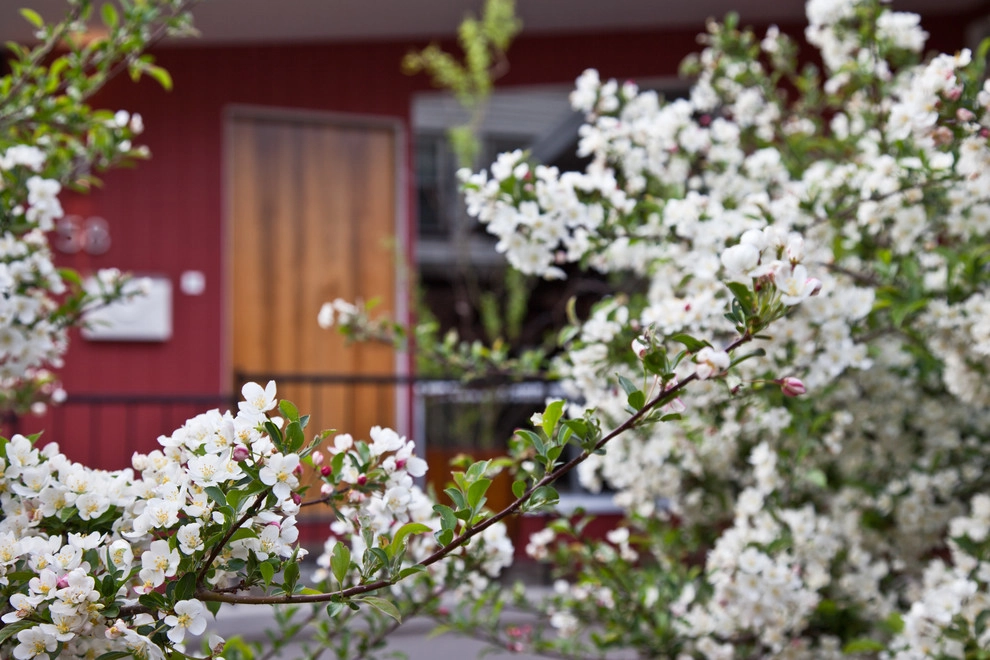 Hastings Lane by Matthew Cunningham Landscape Design LLC - Photo 39