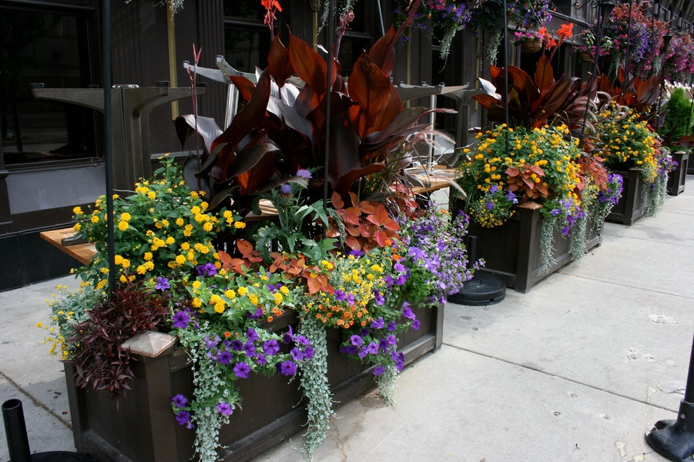 Anne Roberts Gardens, Inc. by Anne Roberts Gardens, Inc. - Photo 6