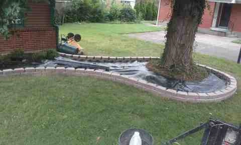 Alberto Alavez Professional Lawn Services LLC 1 by Alberto Alavez Professional Lawn Services LLC - Photo 52