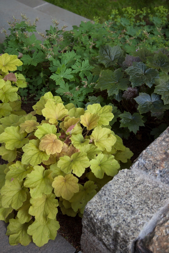 Lawrence Road by Matthew Cunningham Landscape Design LLC - Photo 20