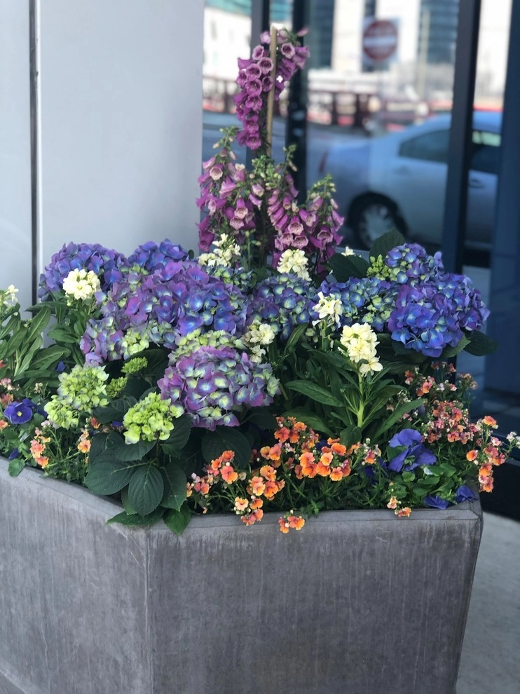 Anne Roberts Gardens, Inc. by Anne Roberts Gardens, Inc. - Photo 11