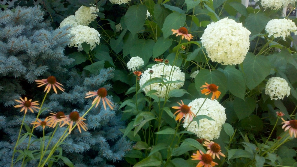Drainage by Anne Roberts Gardens, Inc. - Photo 2