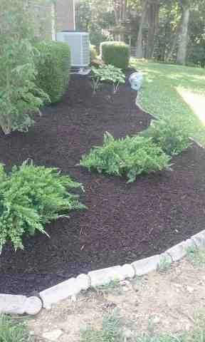 Alberto Alavez Professional Lawn Services LLC 1 by Alberto Alavez Professional Lawn Services LLC - Photo 31