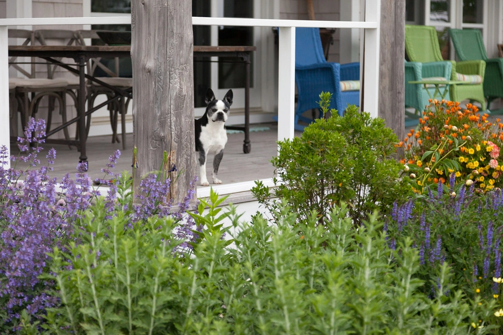 Clamshell Alley by Matthew Cunningham Landscape Design LLC - Photo 60
