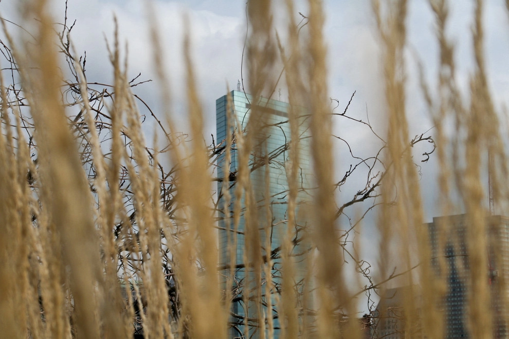 Commonwealth Avenue Rooftop by Matthew Cunningham Landscape Design LLC - Photo 39