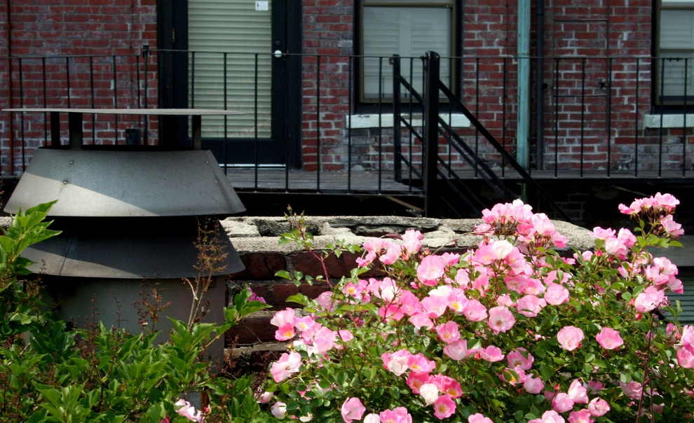 Commonwealth Avenue Rooftop by Matthew Cunningham Landscape Design LLC - Photo 52
