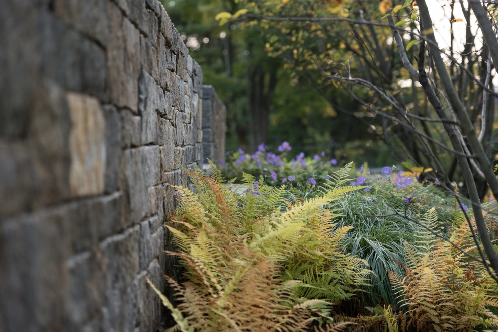 Waban Hillside by Matthew Cunningham Landscape Design LLC - Photo 102