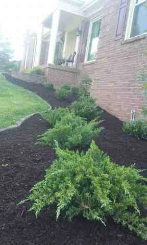 Alberto Alavez Professional Lawn Services LLC 1 by Alberto Alavez Professional Lawn Services LLC - Photo 3